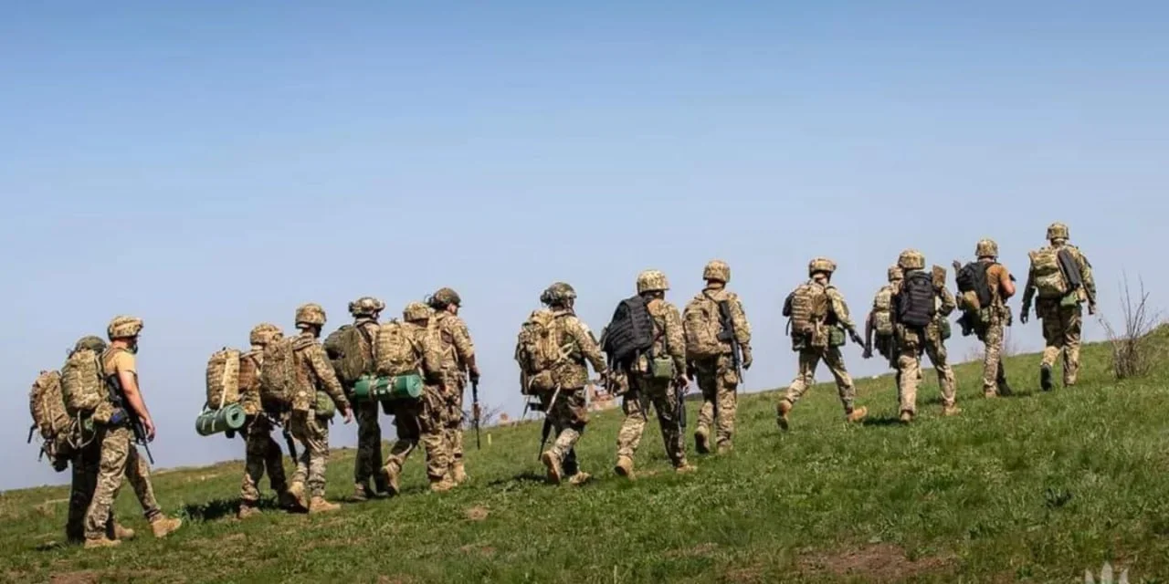 «С этим нельзя тянуть». Палиса и Гнатов готовят предложения по справедливому распределению мобилизованных в ВСУ