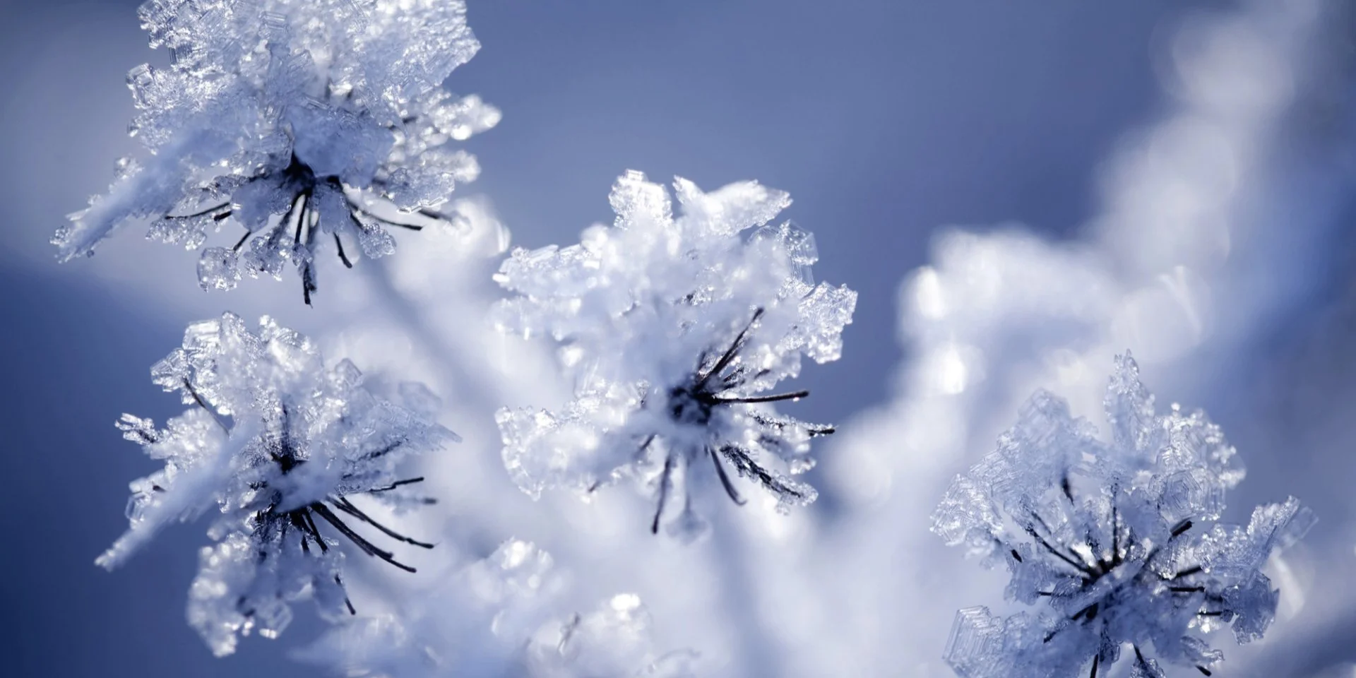 Первый день зимы. Будет ли мороз и в каких областях пройдет небольшой дождь в Украине