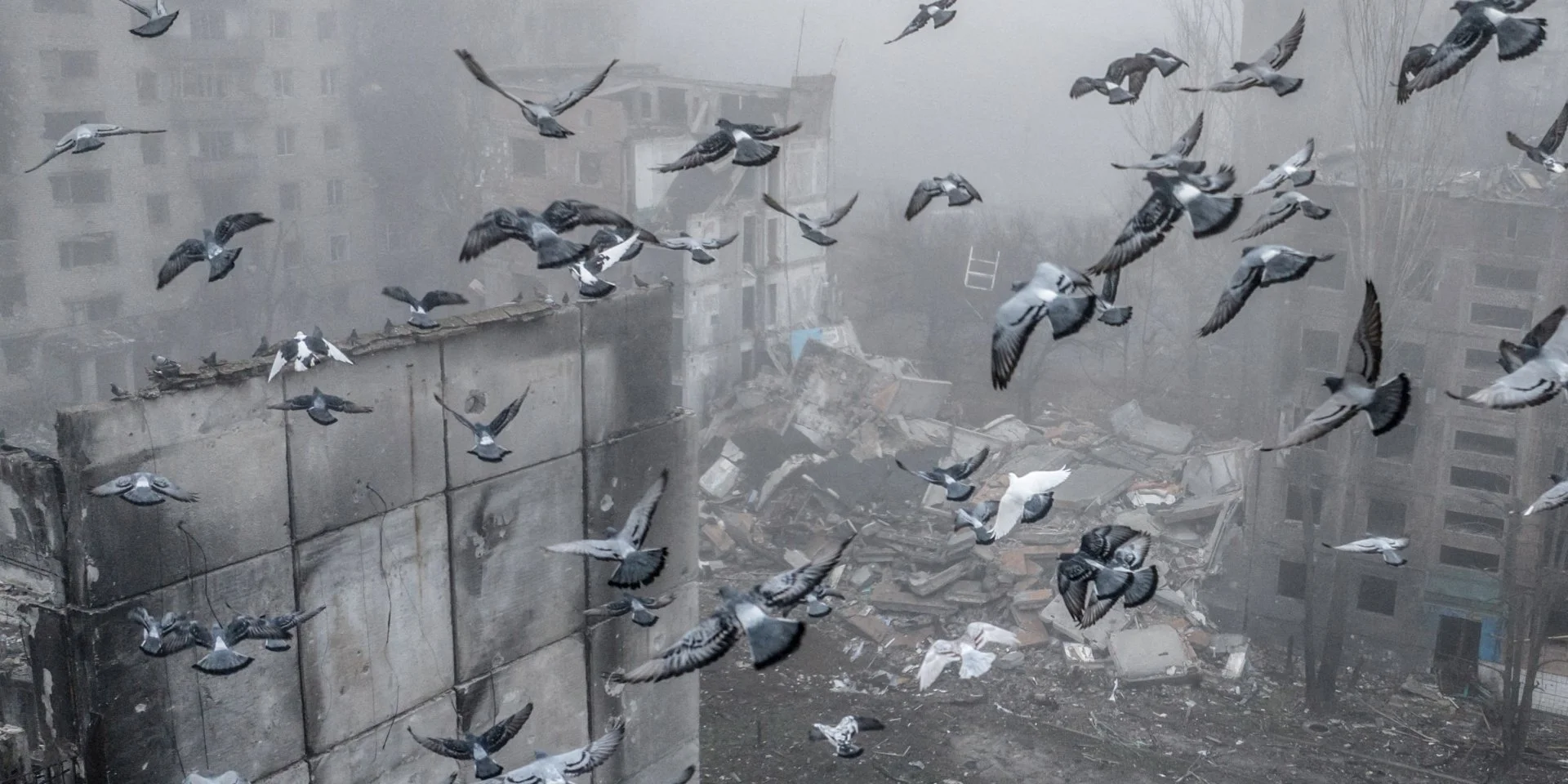 Россияне в Донецкой области оккупировали село и продвинулись вблизи Ямполя и в Северске — DeepState