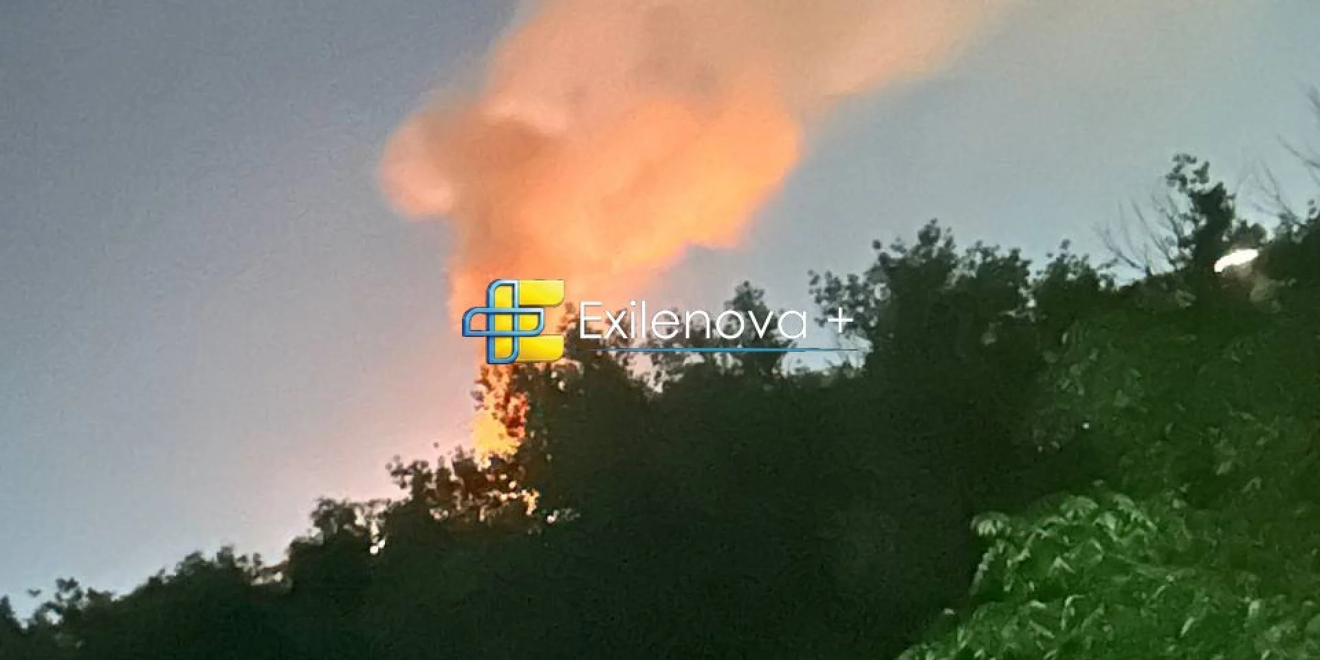 news-image