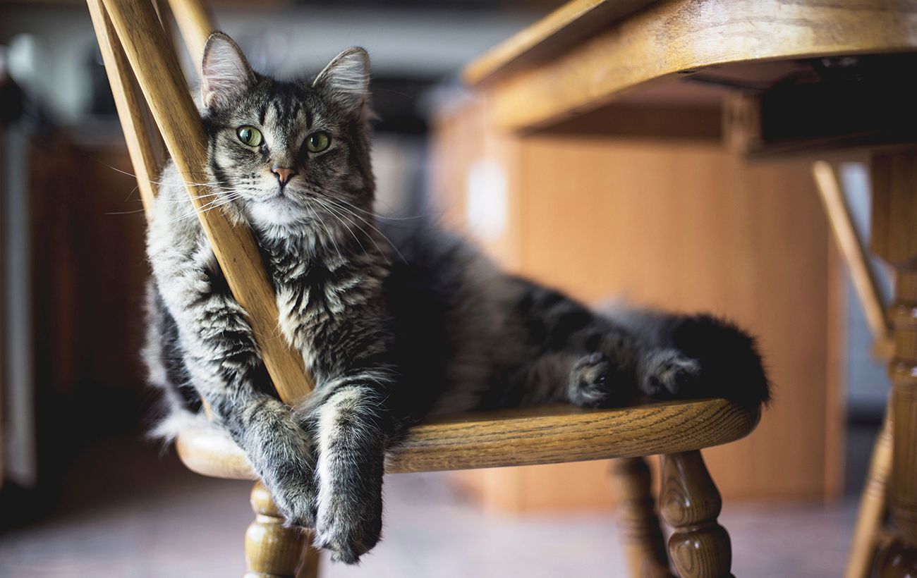 Морозы не отступают: где в Украине ждать до -20 и снега