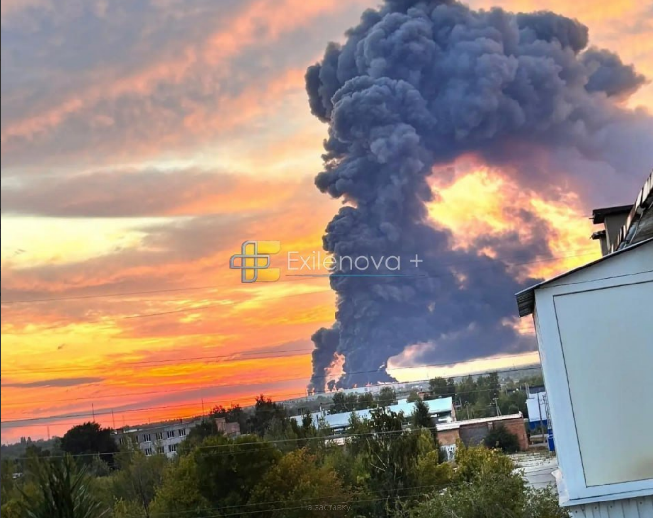news-image