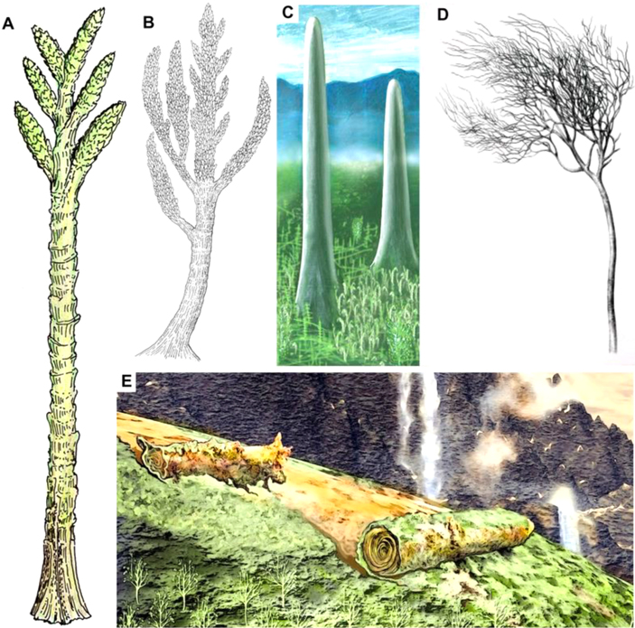 Палеозойский наземный гигант — представитель неизвестной группы живых существ?