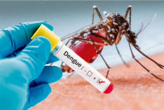 Після відпочинку на Мальдівах мешканка Львівщини захворіла на лихоманку Денге