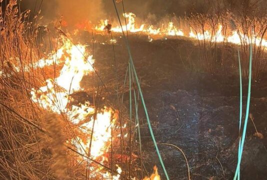 На Львівщині за добу сталося 20 пожеж в екосистемах