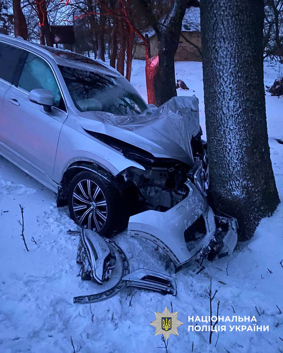 Біля Легедзиного травмувалась пасажирка автівки після зіткнення з деревом