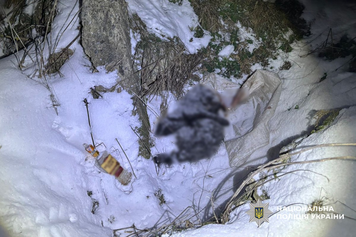 На Звенигородщині чоловіку загрожує до 8 років за ґратами за жорстоке вбивство двох собак