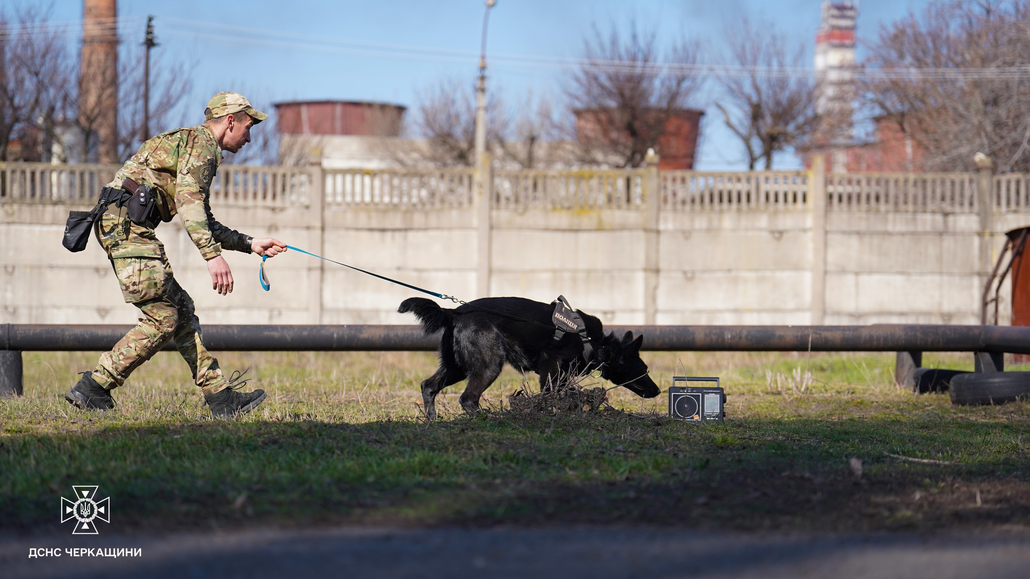 У Черкасах тренувалися службові собаки – шукали людей і вибухівку (ФОТО, ВІДЕО)