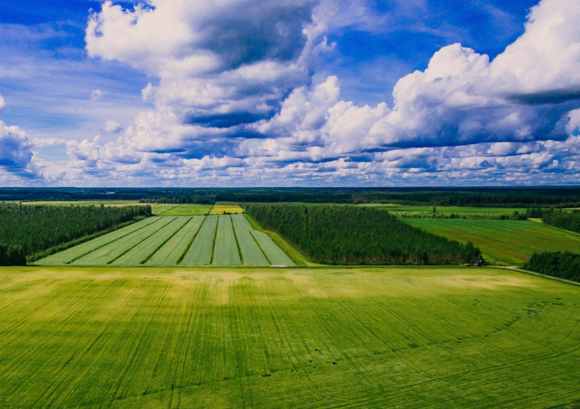 Шполянській громаді через суд повернуть понад 5 га земель