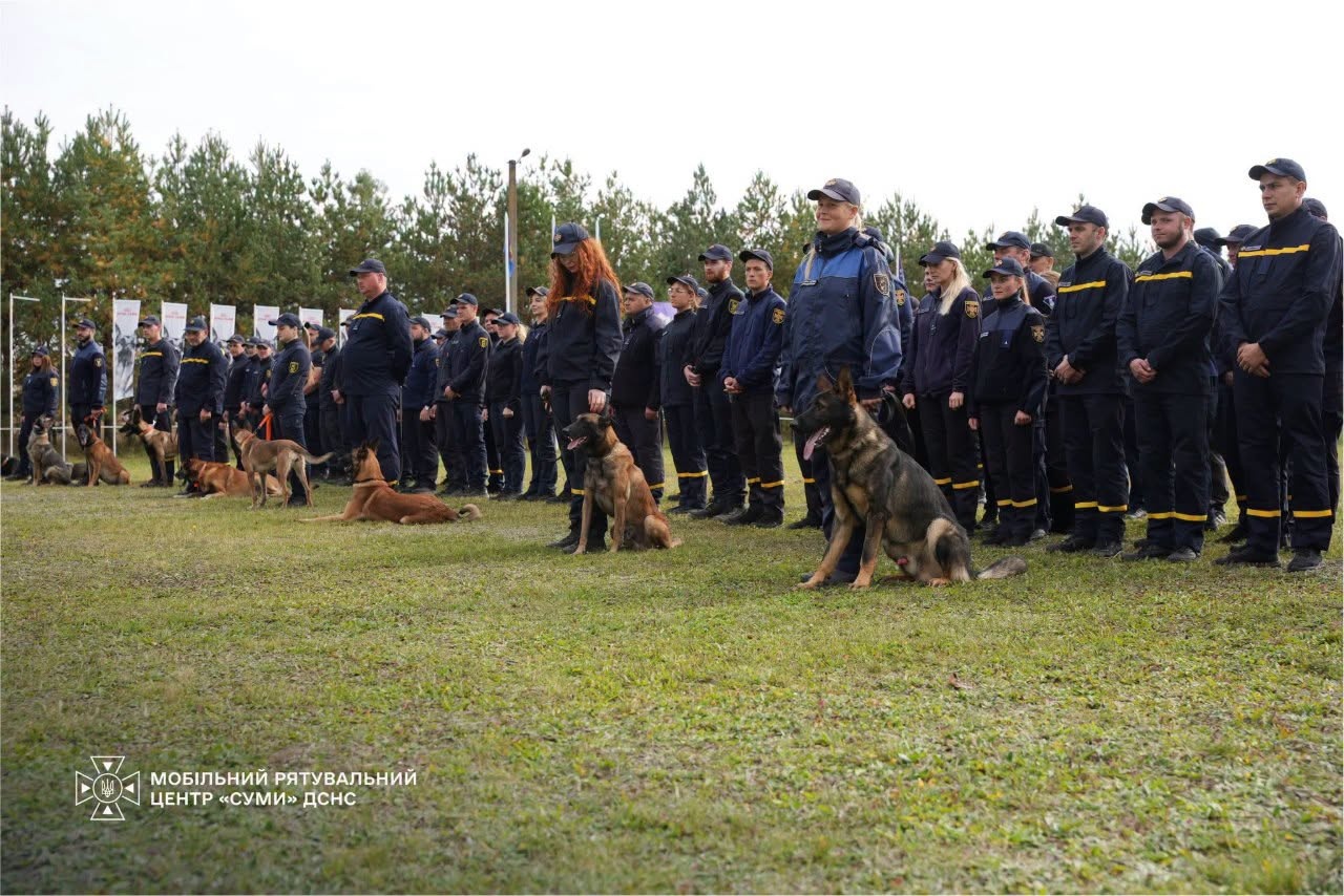 Собаки ДСНС Черкащини шукали постраждалих у лісі та серед руїн (ФОТО, ВІДЕО)