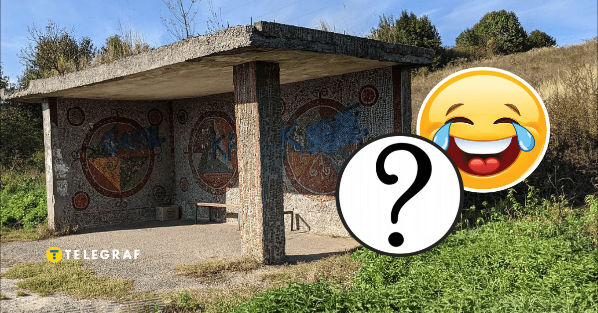 "Попутку ловить?". Украинцев развеселил забавный курьез с животным на остановке (видео)
