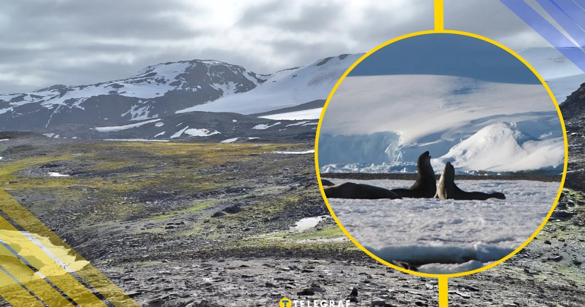 Хорошие новости есть, но мир идет не тем путем: ученые смоделировали будущее Антарктиды