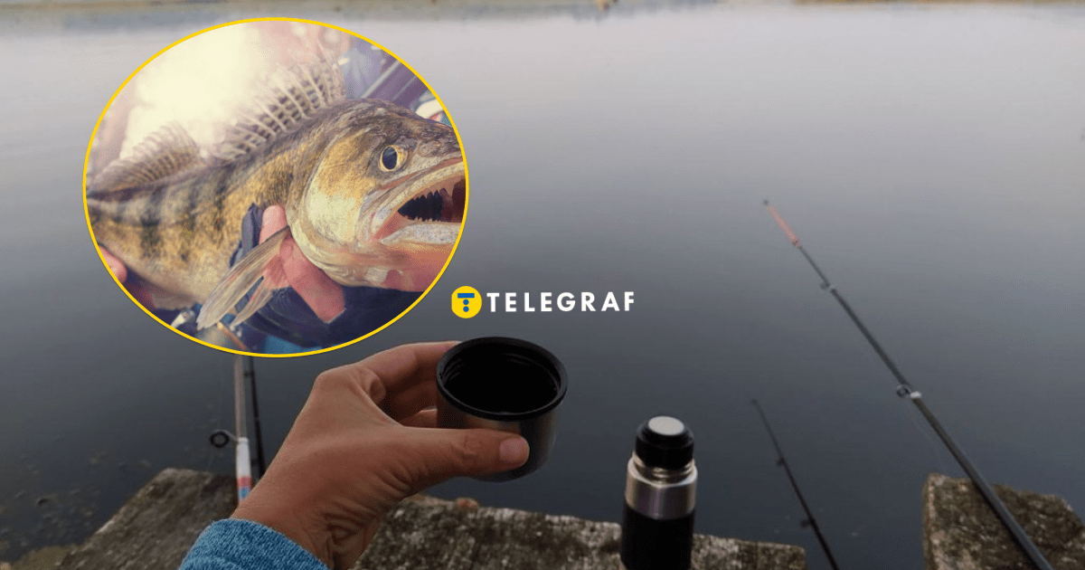 Секрет в ярких приманках? Рыбак показал свой трофей (фото)