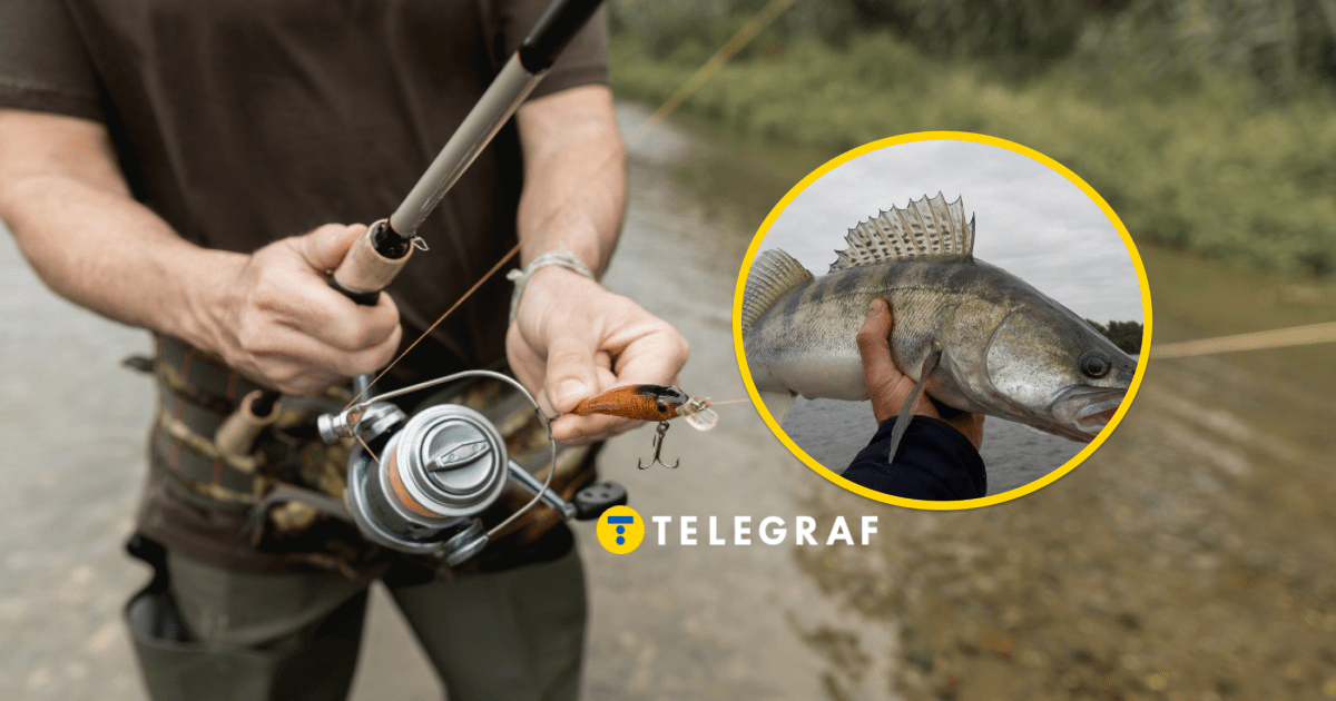 Рыба больше мужской ноги: где рыбаку повезло с трофеем (видео)