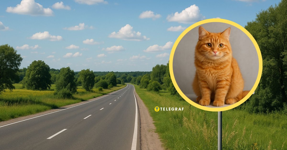 Там живут только кошки? В Украине есть село с пушистым названием, которое можно обойти за 10 минут