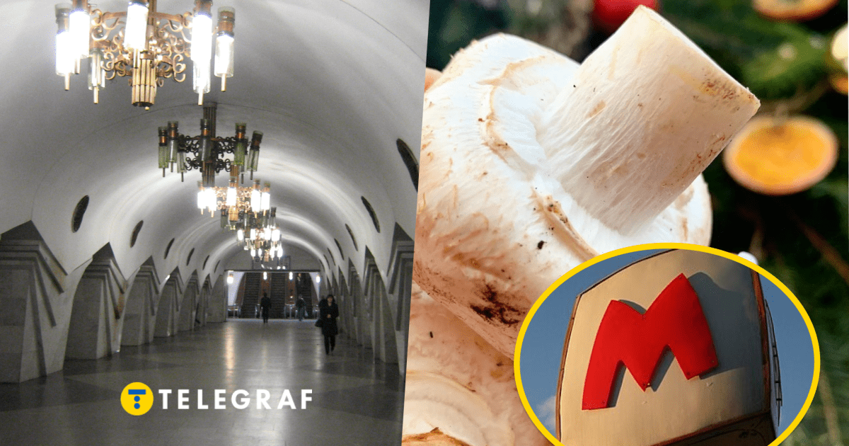 Украинцы выращивали грибы прямо в метро: где и почему так поступали