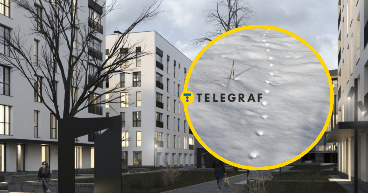 Опасная гостья: дикое животное заметили среди жилых домов в Ужгороде (видео)