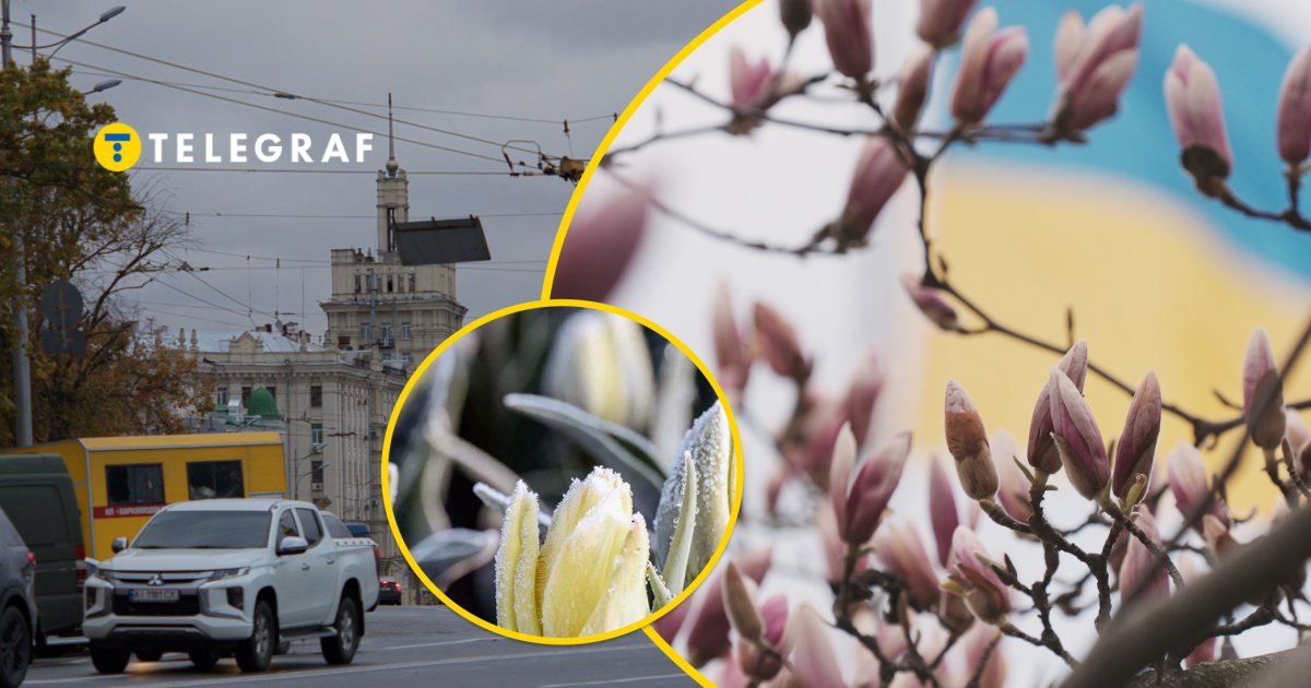 От +19 до снега: в Харькове после потепления прогнозируют новое похолодание