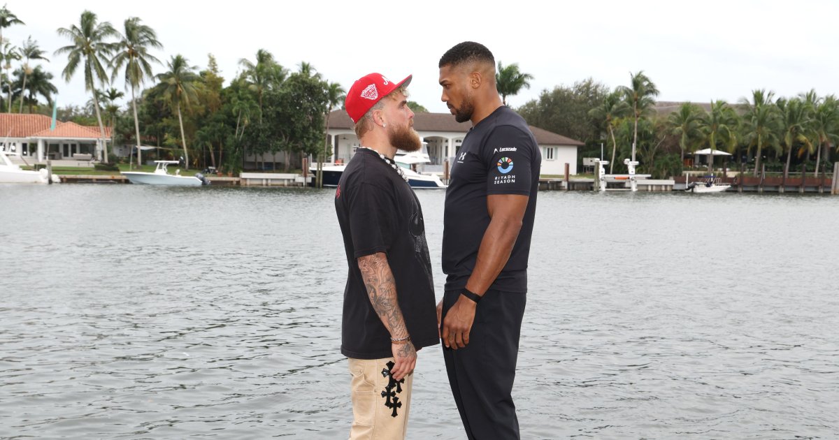 Джошуа - Пол: онлайн-трансляция первых боев и открытых тренировок (видео)