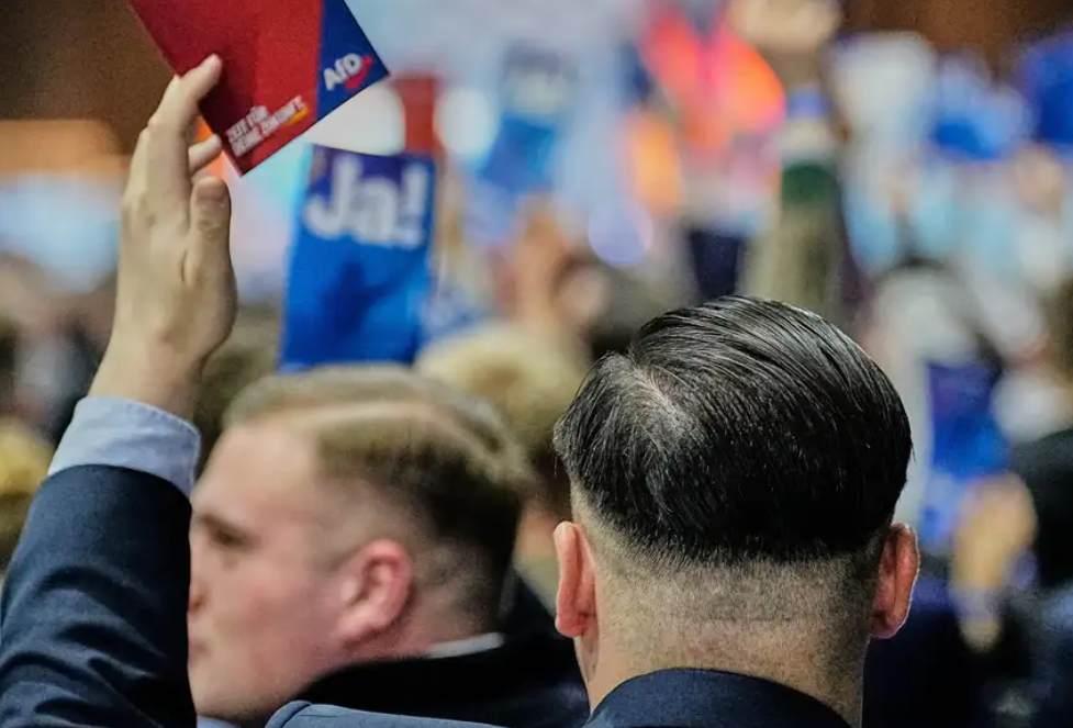 Politico: Немецкая АдГ превратилась в разведывательный инструмент РФ внутри НАТО