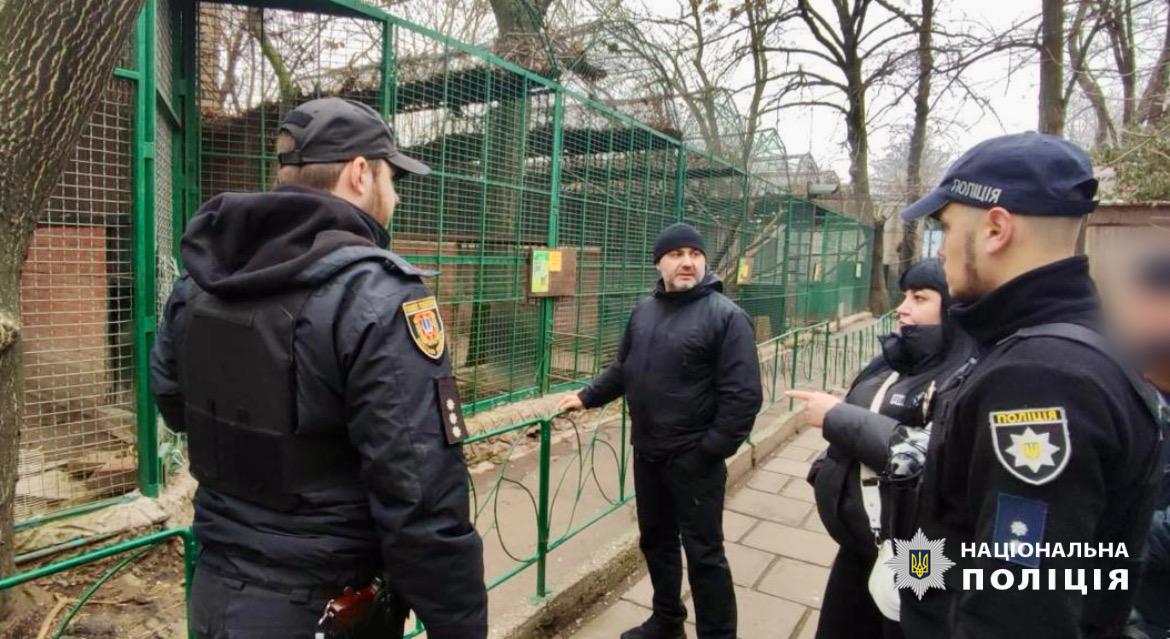 Леопард напал на работника одесского зоопарка (обновлено)