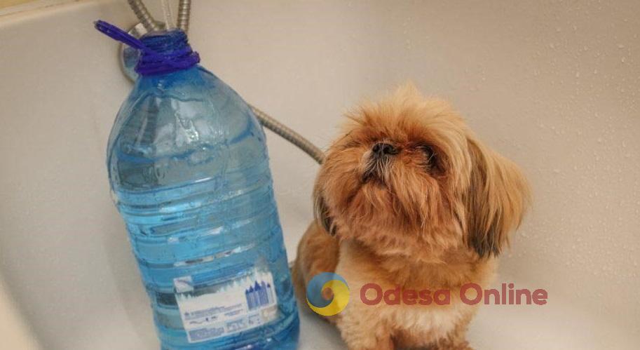 В Одессе жителям трёх улиц отключили воду