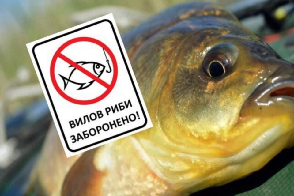 На Рівненщині розпочинається заборона на лов риби та інших водних біоресурсів