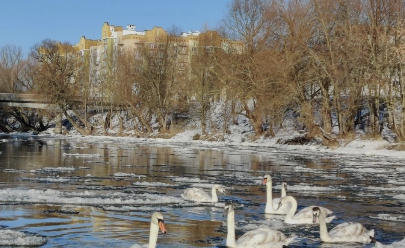 Комісія перевірила якість води у річці Стир, на ділянці, що межує з Рівненською АЕС
