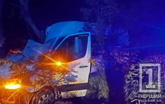 Недогледів і злетів у кювет: на Криворізькій трасі мікроавтобус врізався в дерево, є поранені