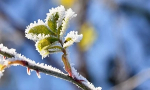 news-image
