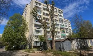 Во Львове сотрудницу райадминистрации наказали за фото с ИИ в отчете об обрезке дерева