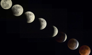 news-image