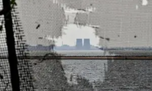 news-image