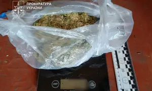 news-image