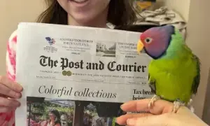 news-image