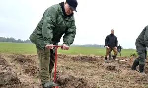 news-image