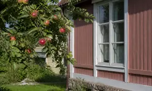 news-image
