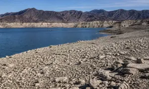 В водохранилище Лейк-Мид в США обнаружены предположительно человеческие останки