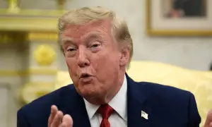 Литва получила от администрации Трампа анкету о поддержке США — LRT
