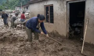 news-image