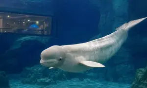 news-image