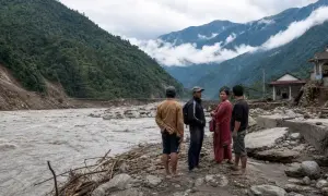 news-image