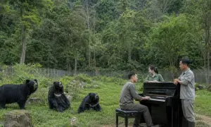 news-image
