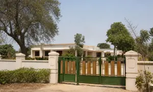 news-image