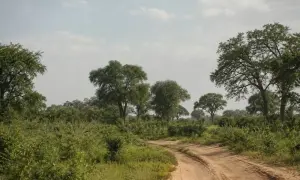 news-image