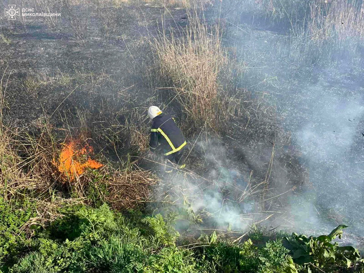 Чотири пожежі в екосистемах за добу: мешканці Миколаївщини масово випалюють очерет