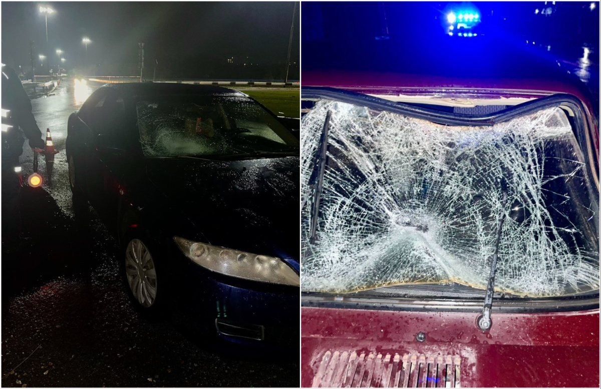 Нерегульований перехід — нерегульовані наслідки: одразу трьох людей збили на Миколаївщині