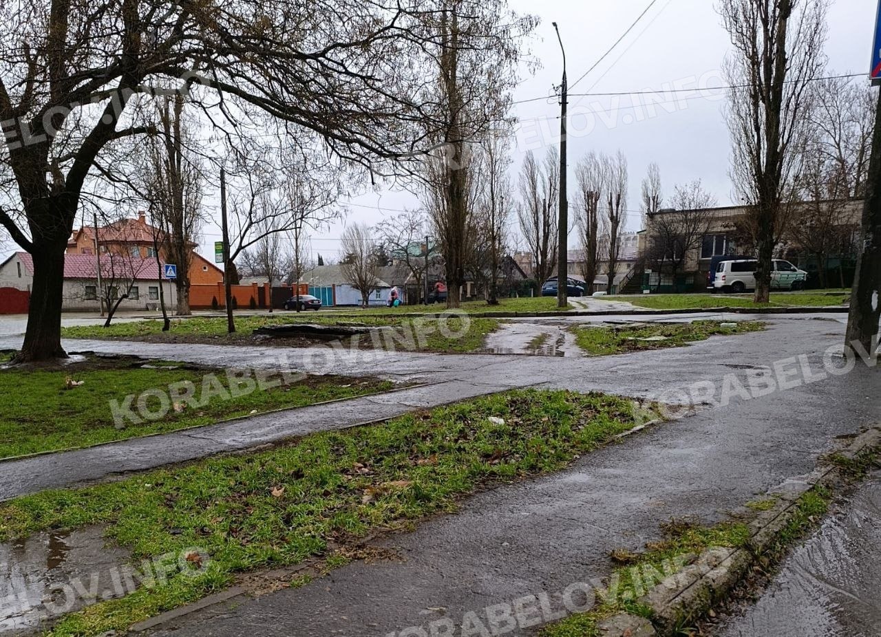 news-image