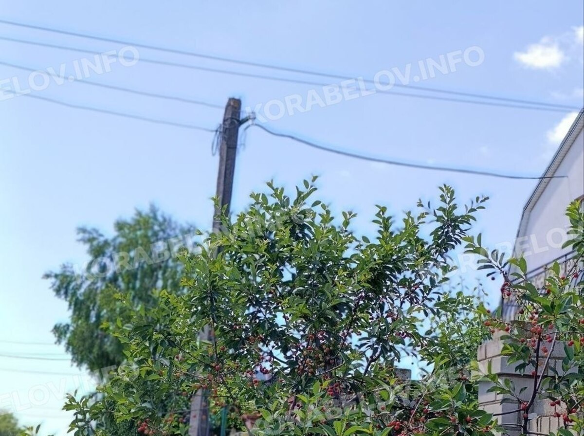 news-image